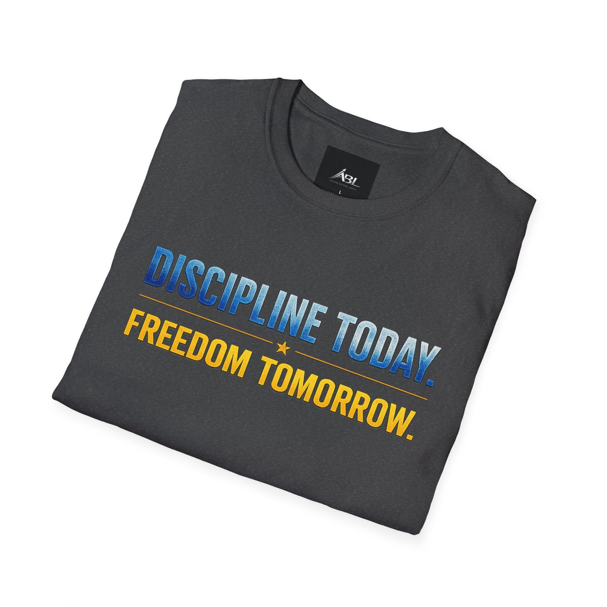 Discipline Today, Freedom Tomorrow T-Shirt — Legacy Mindset Lion Graphic
